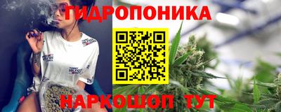 шишки Краснокаменск